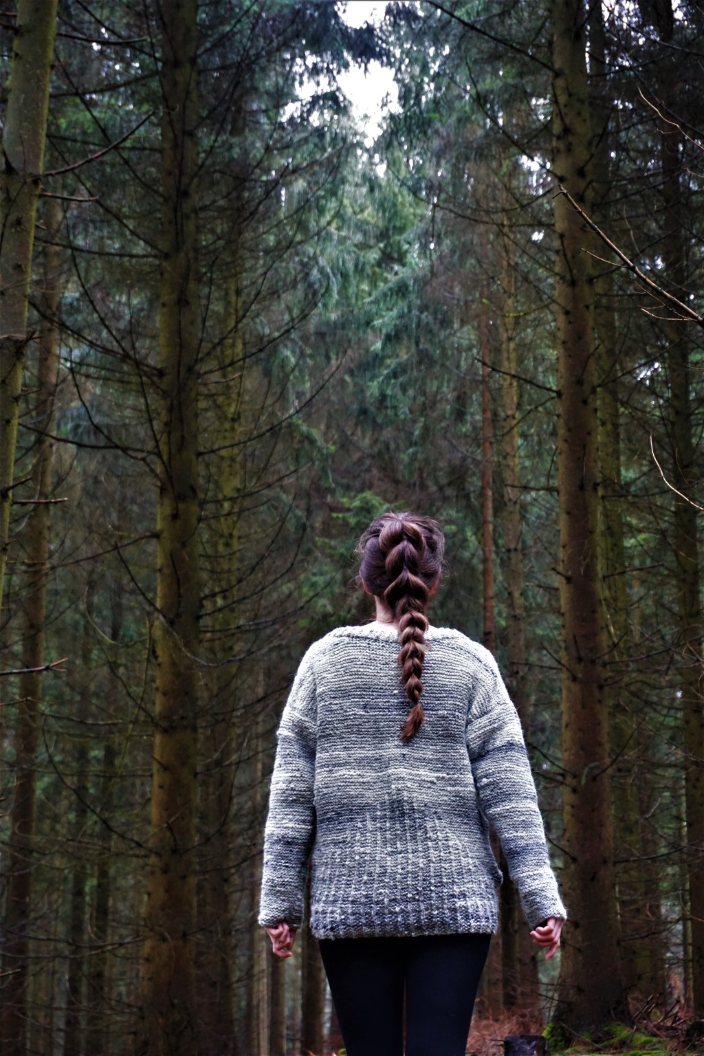 Kostenlose Anleitung – AURIS&nbsp;Sweater